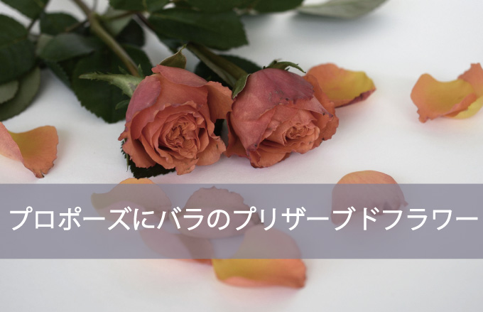 プロポーズ 結婚記念日にお花のプレゼント