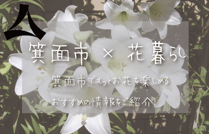 箕面市（大阪）でお花を楽しむための情報満載！おすすめのお店・グッズ・スポットを紹介！