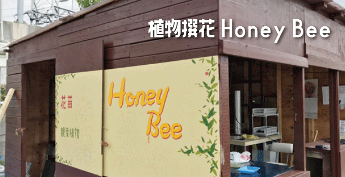 植物撰花 Honey Bee