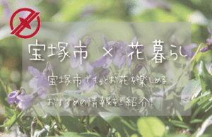 宝塚市（兵庫）でお花を楽しむための情報満載！おすすめのお店・グッズ・スポットを紹介！