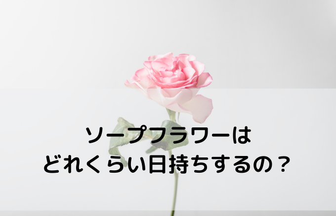 1584円 【今日の超目玉】 ソープフラワー 花束 薔薇 10本