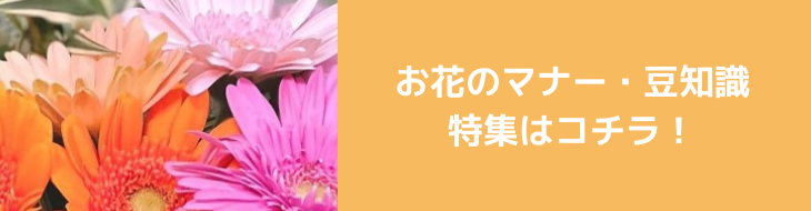 お花の定期宅配・オリジナルフラワーギフト｜Kvell flower(クヴェルフラワー)