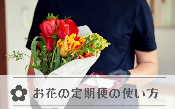 お花の定期便の使い方って？魅力を引き出す活用方法をプロが解説