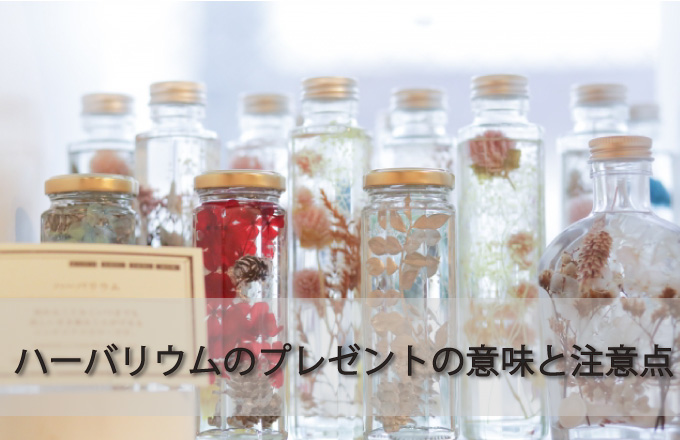 ハーバリウムをプレゼントするのに意味はあるの？気を付けたい注意点もご紹介