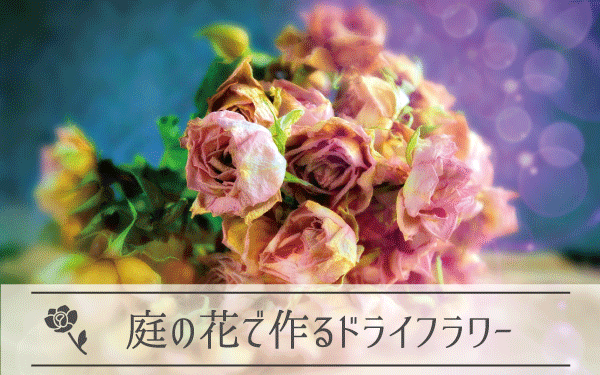 Kvell flowerの花ブログ